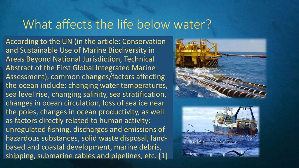 What affects the life below water?