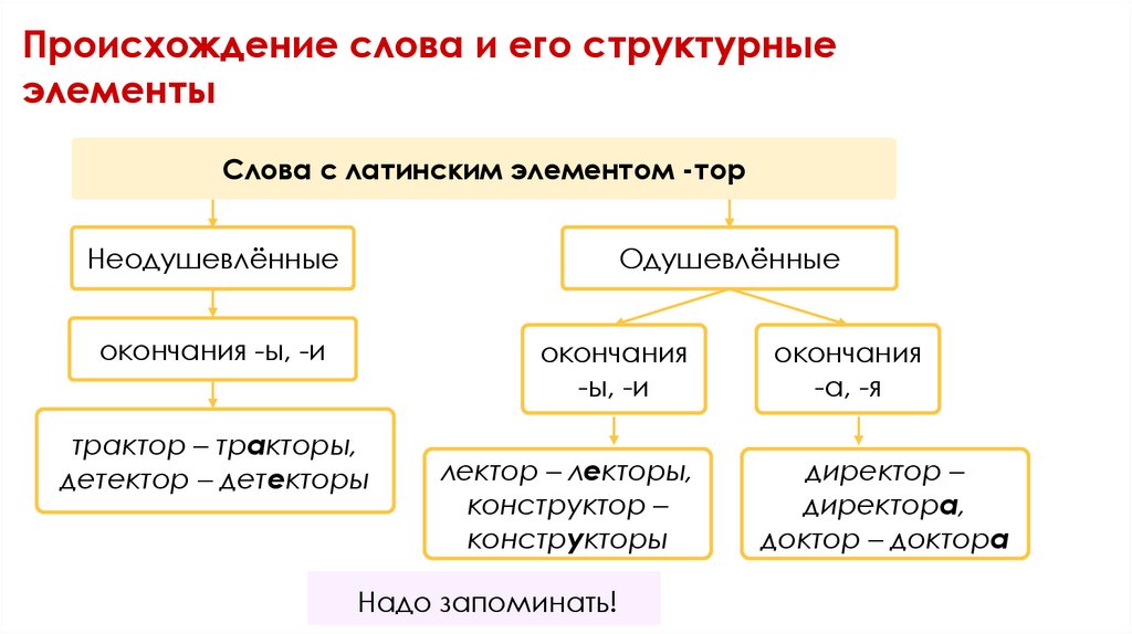 Происхождение слова и его структурные элементы