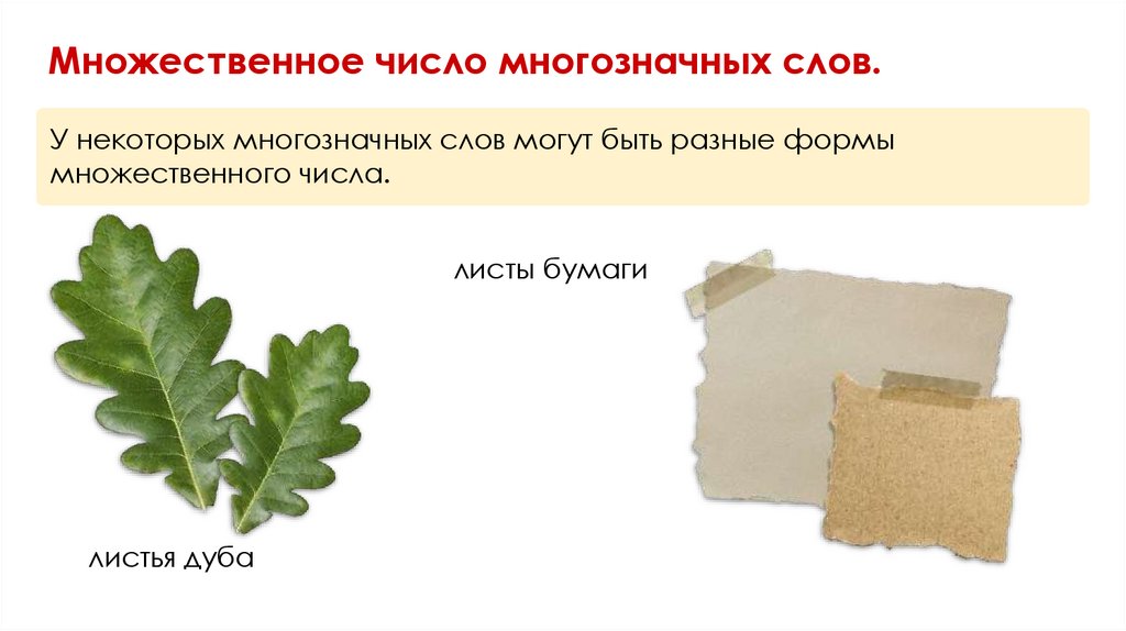 Множественное число многозначных слов.