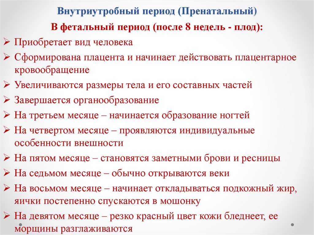 Внутриутробный период (Пренатальный)