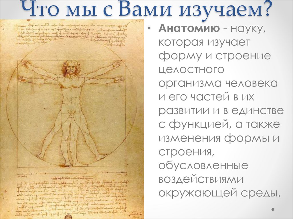 Что мы с Вами изучаем?