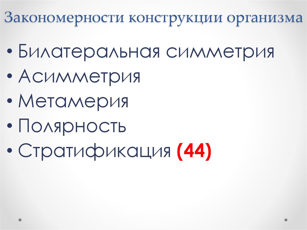 Закономерности конструкции организма
