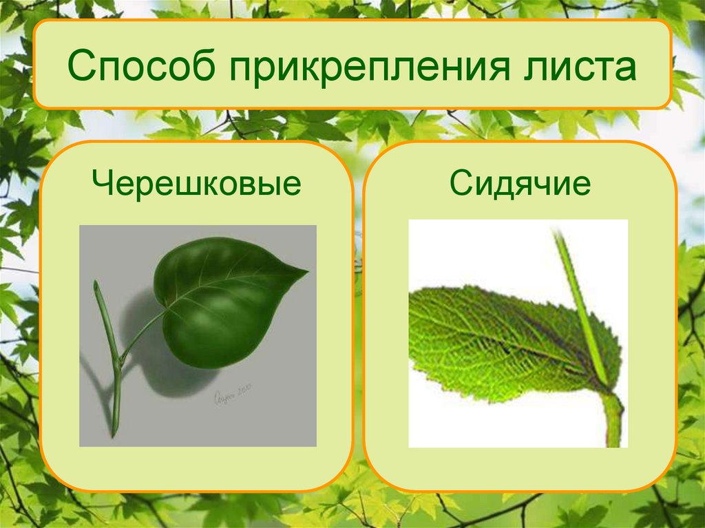 Способ прикрепления листа