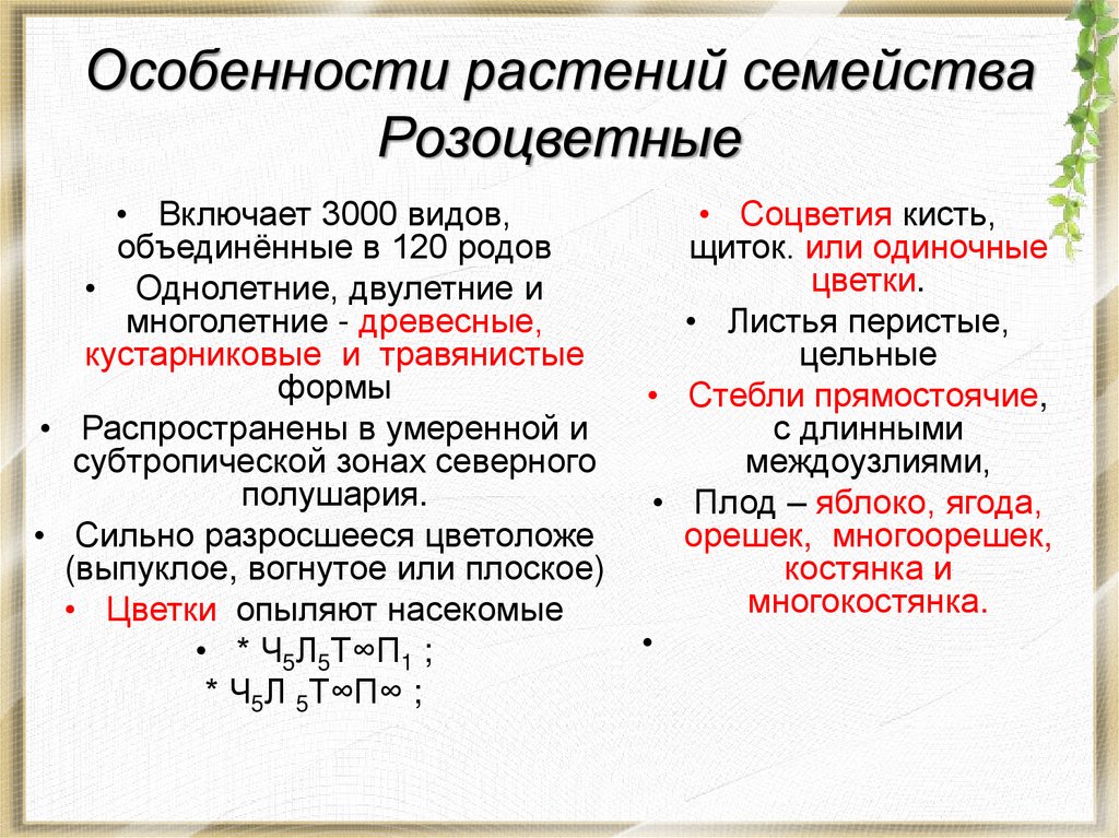 Особенности растений семейства Розоцветные