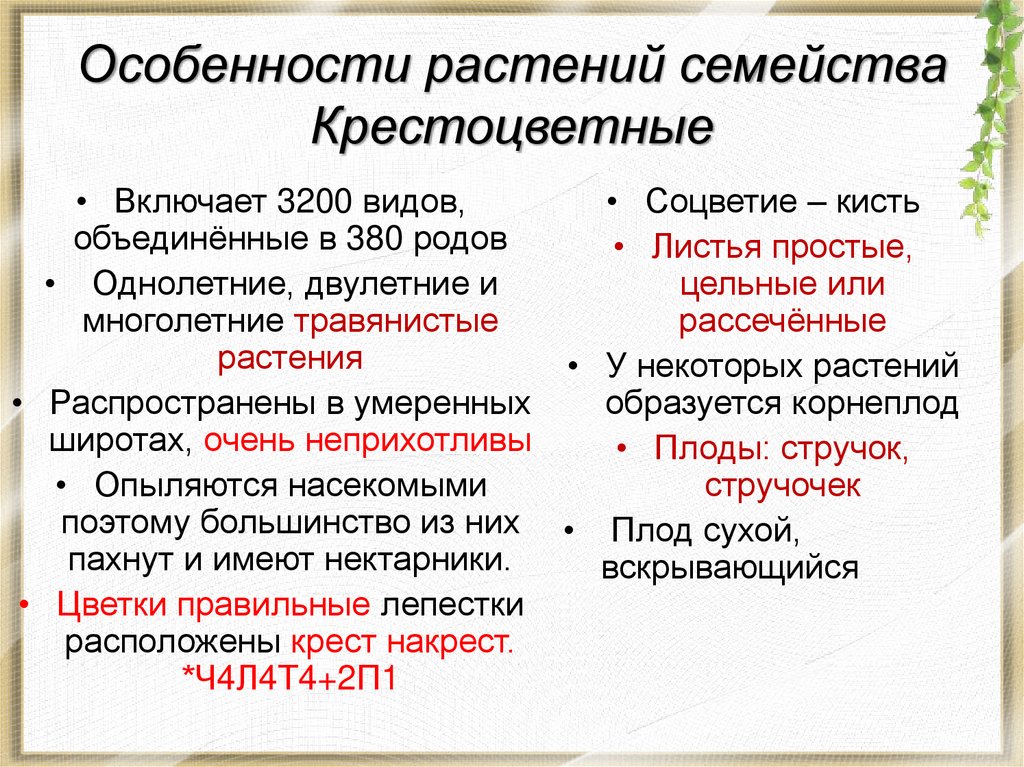 Особенности растений семейства Крестоцветные