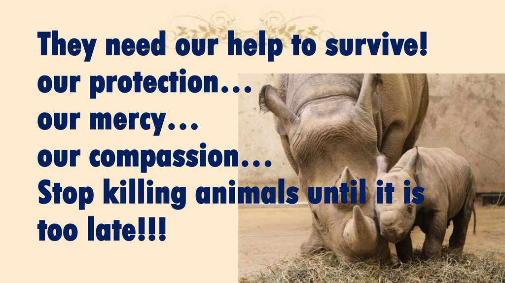 They need our help to survive! our protection… our mercy… our compassion… Stop killing animals until it is too late!!!