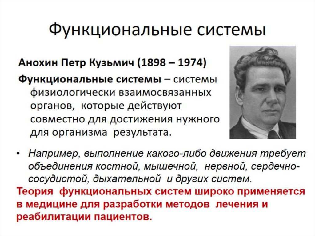 Функциональные системы