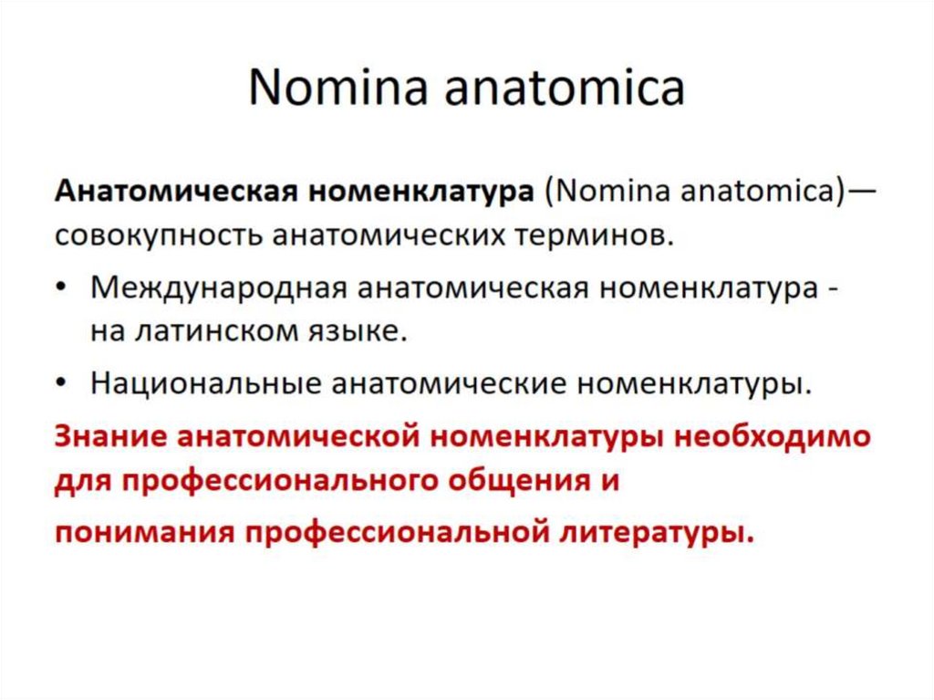 Nomina anatomica