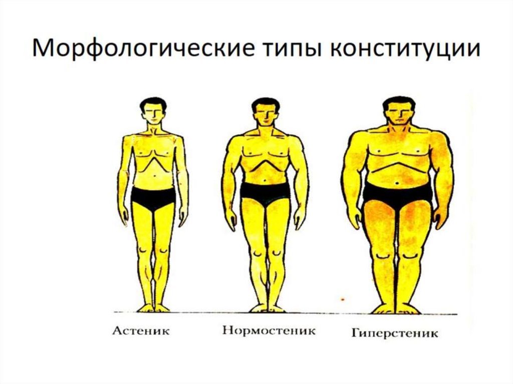 Морфологические типы конституции