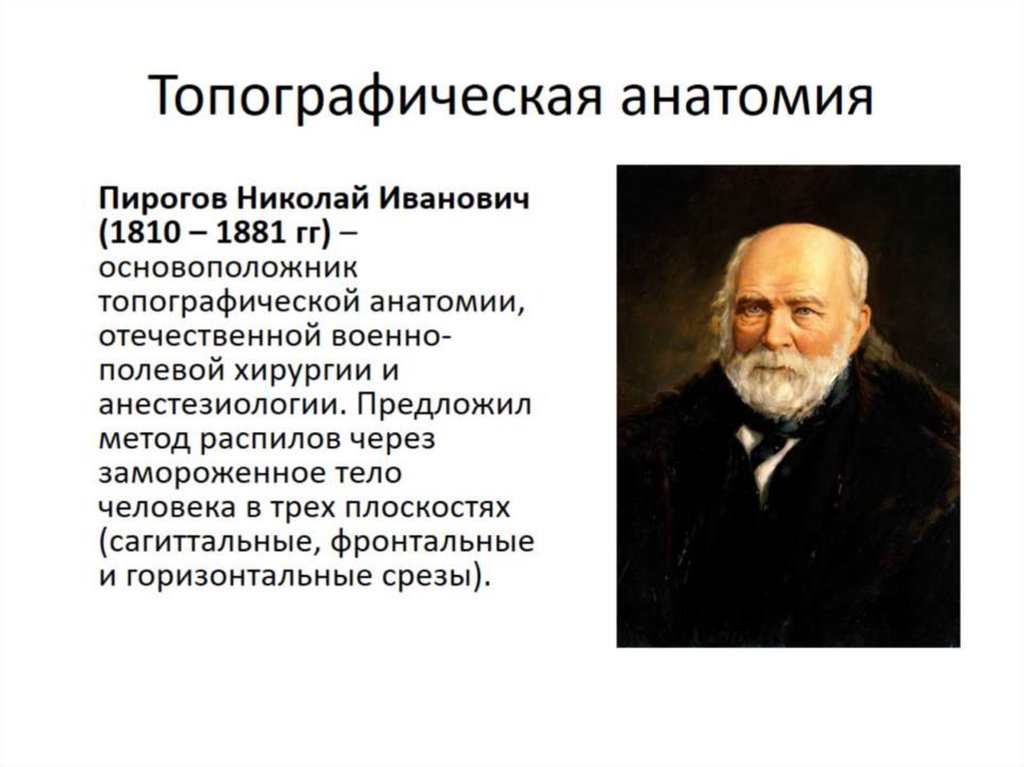 Топографическая анатомия