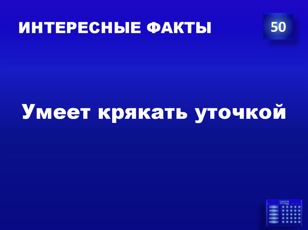 ИНТЕРЕСНЫЕ ФАКТЫ
