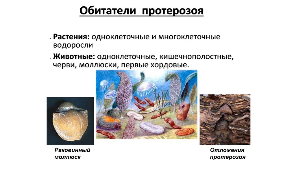 Обитатели протерозоя