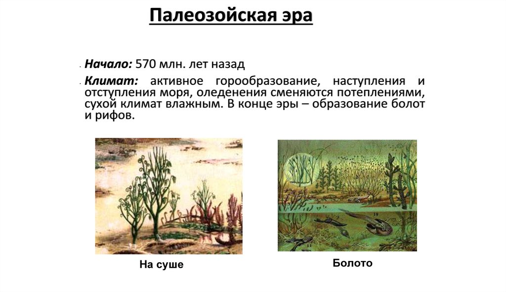 Палеозойская эра