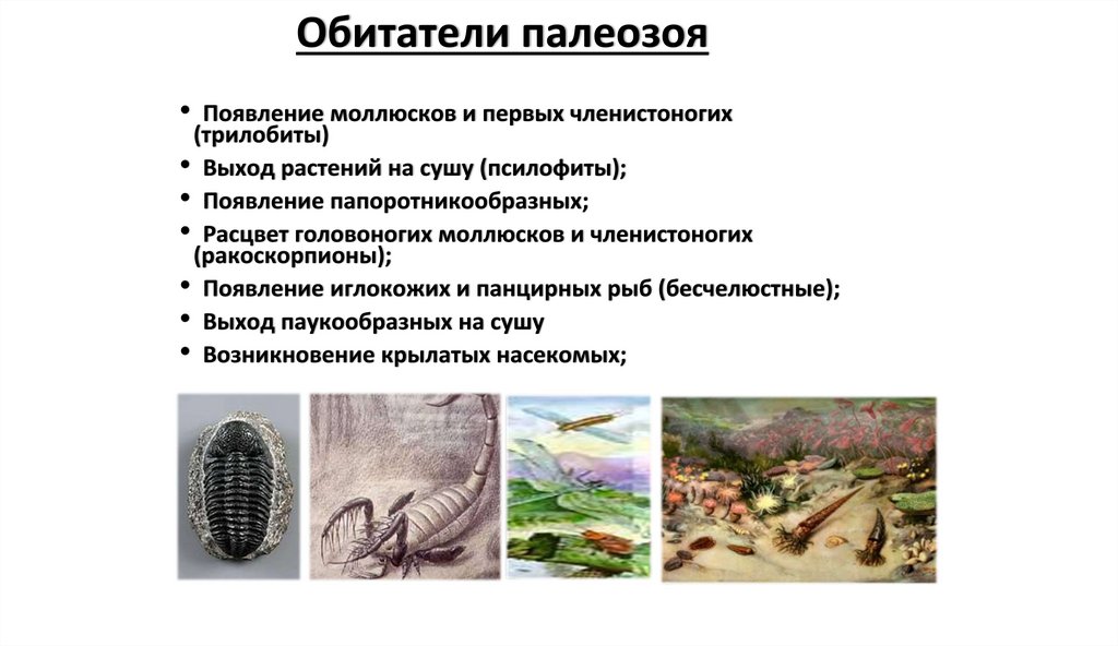 Обитатели палеозоя