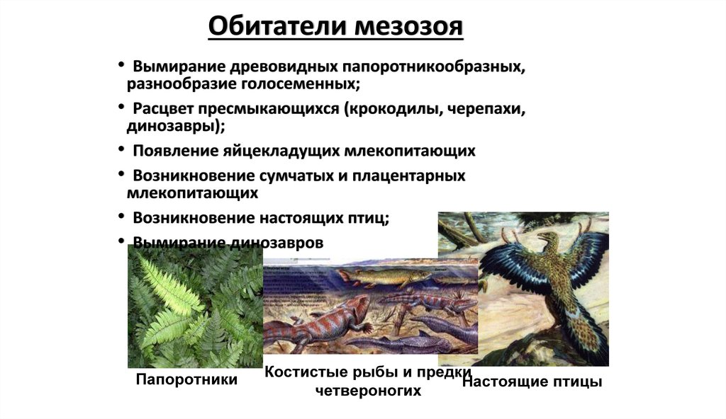 Обитатели мезозоя