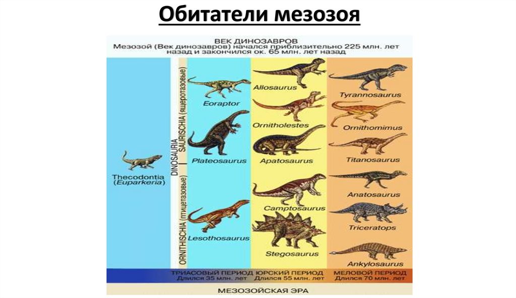 Обитатели мезозоя