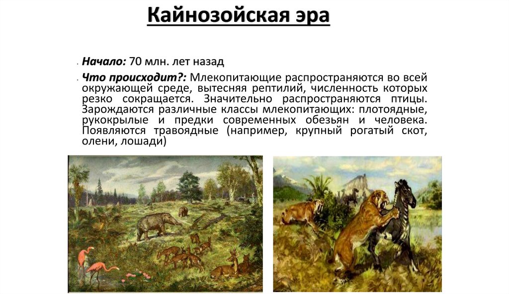 Кайнозойская эра