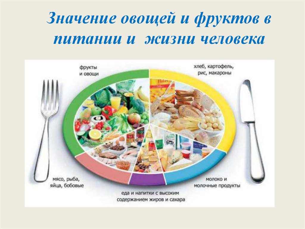 Значение овощей и фруктов в питании и жизни человека