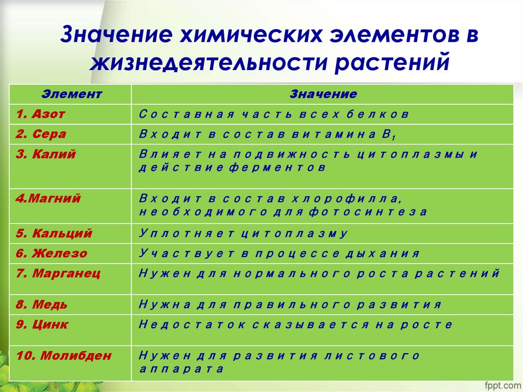 Значение химических элементов в жизнедеятельности растений