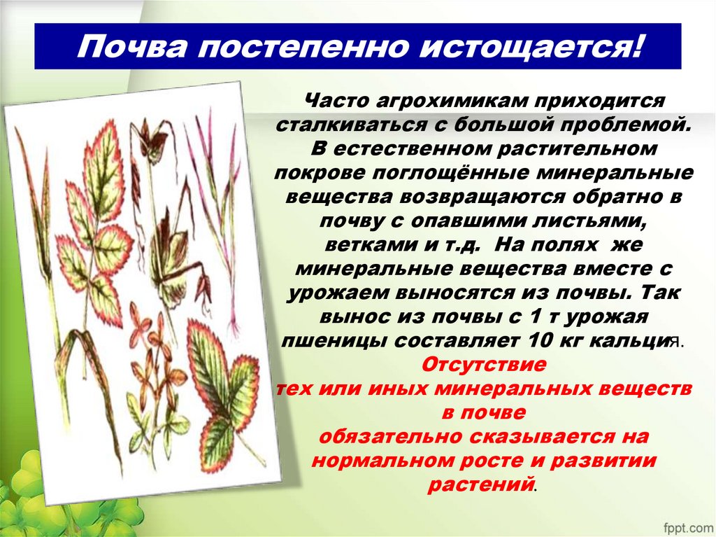 Почва постепенно истощается!