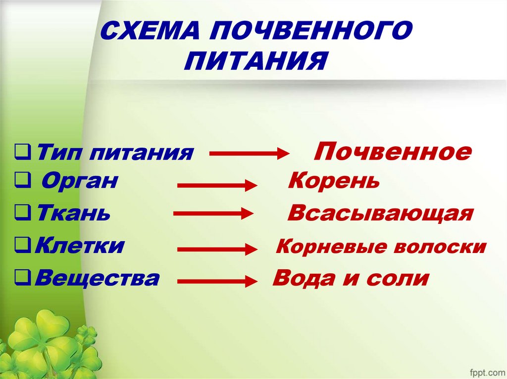 СХЕМА ПОЧВЕННОГО ПИТАНИЯ