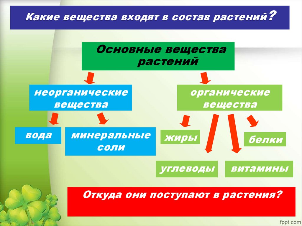 Какие вещества входят в состав растений?