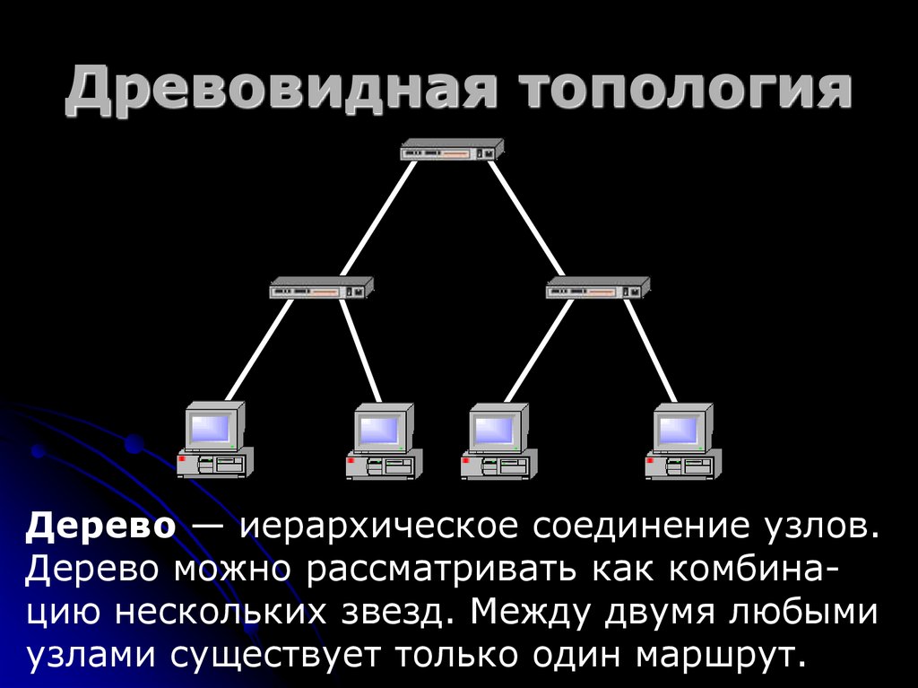Древовидная топология