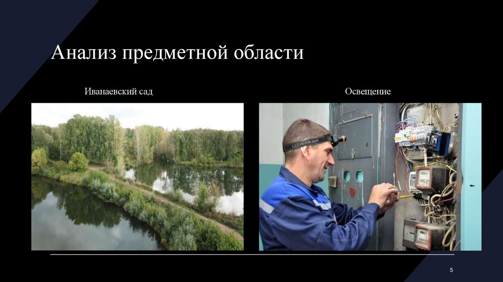 Анализ предметной области