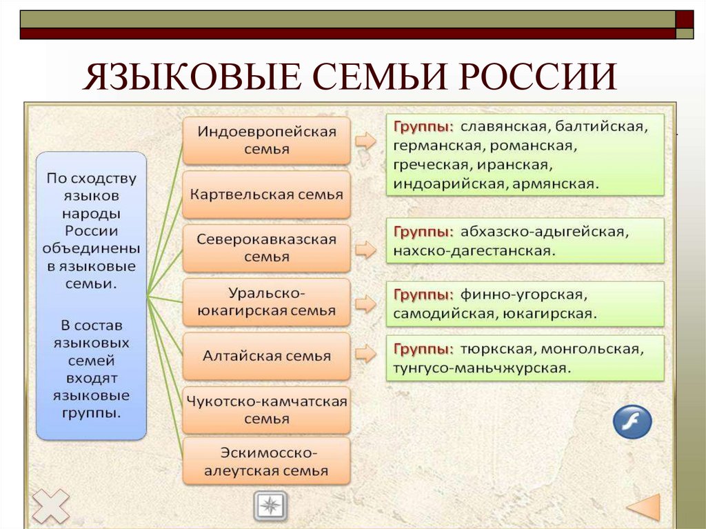 ЯЗЫКОВЫЕ СЕМЬИ РОССИИ