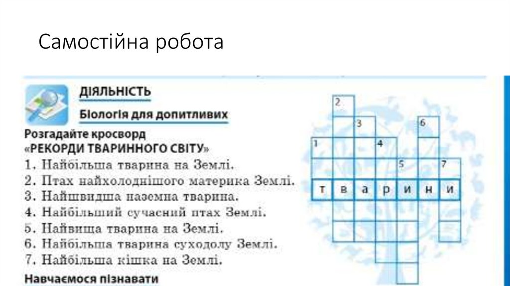 Самостійна робота