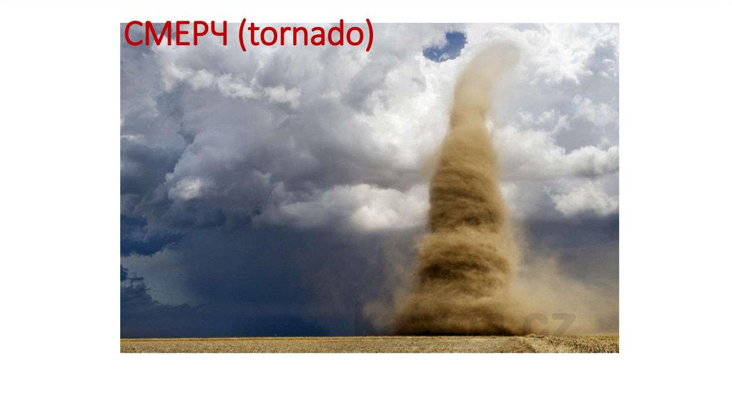 СМЕРЧ (tornado)