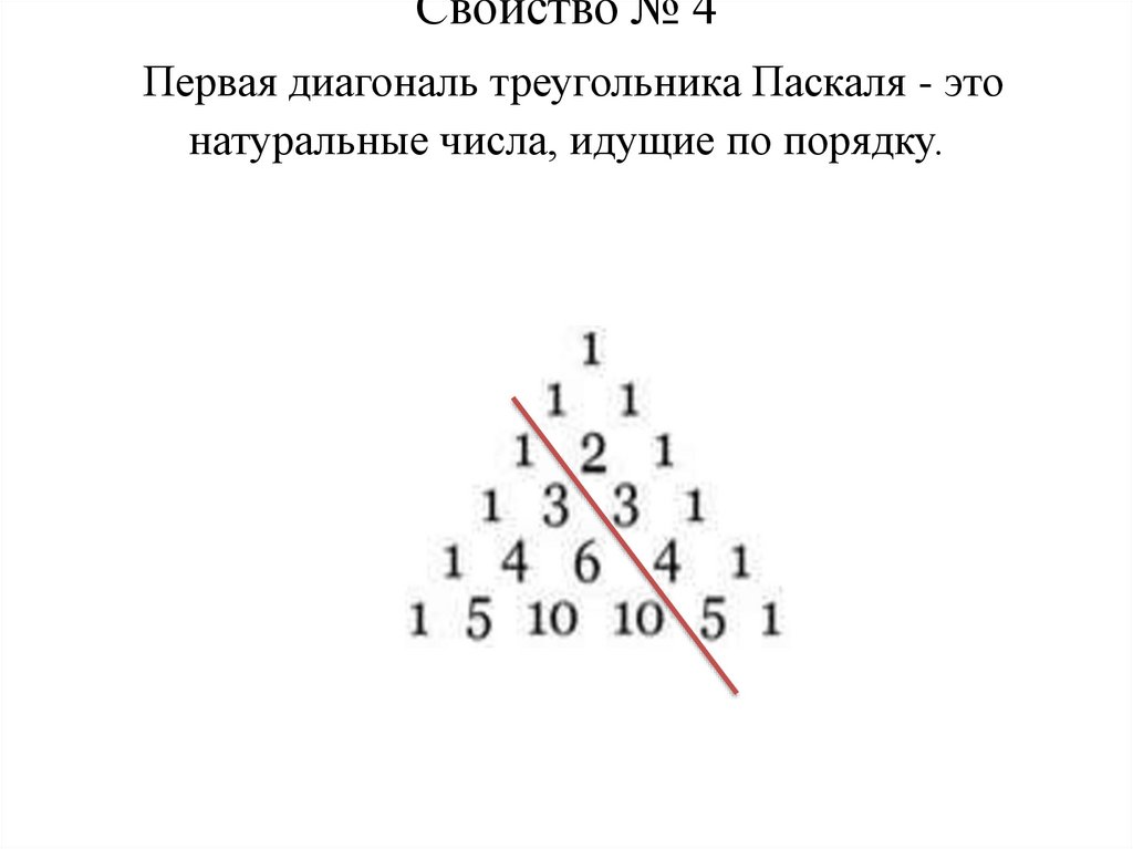 Свойство № 4 Первая диагональ треугольника Паскаля - это натуральные числа, идущие по порядку.