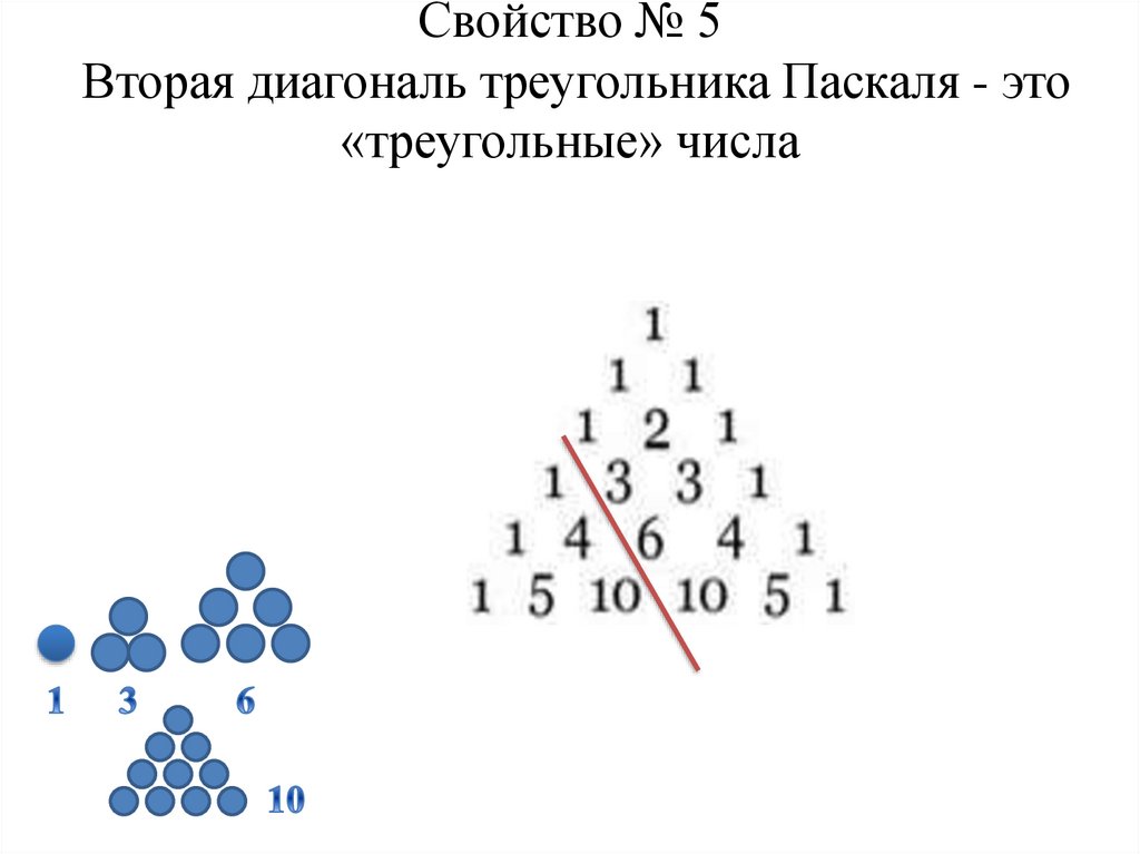 Свойство № 5 Вторая диагональ треугольника Паскаля - это «треугольные» числа