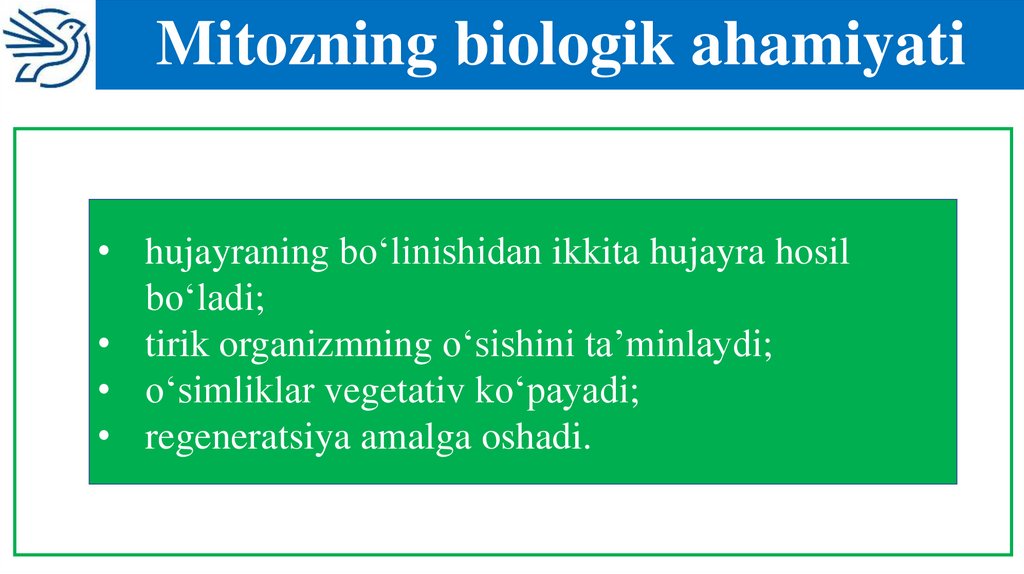 Mitozning biologik ahamiyati