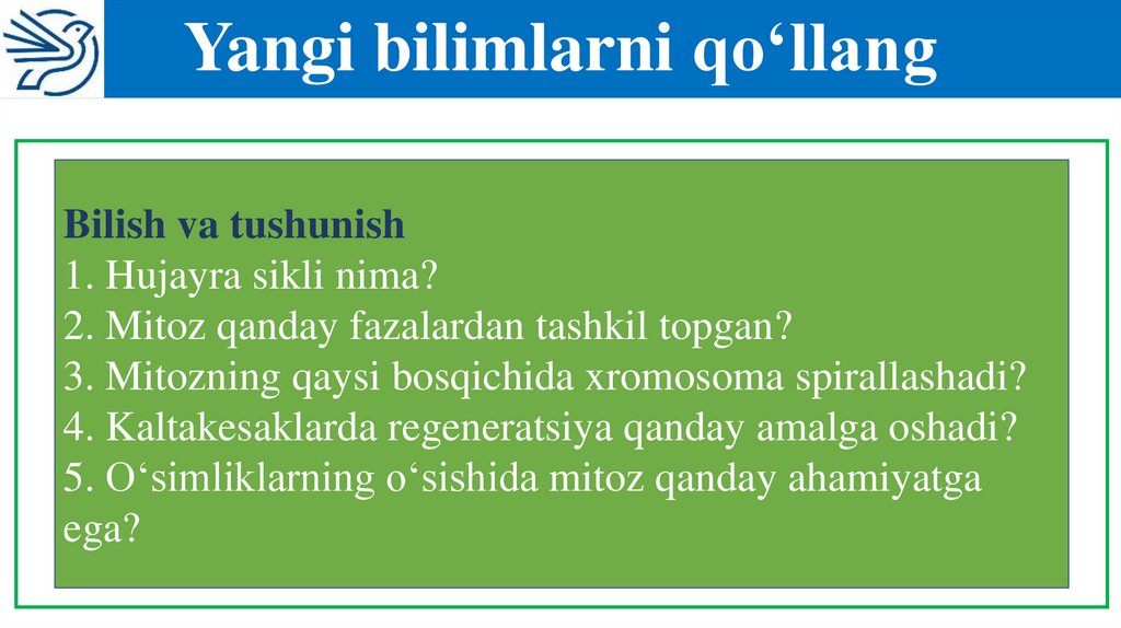 Yangi bilimlarni qo‘llang