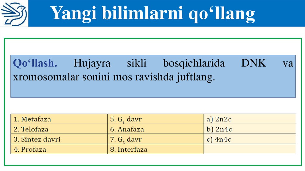 Yangi bilimlarni qo‘llang