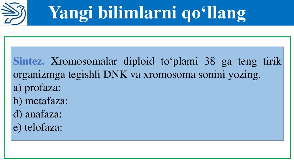 Yangi bilimlarni qo‘llang