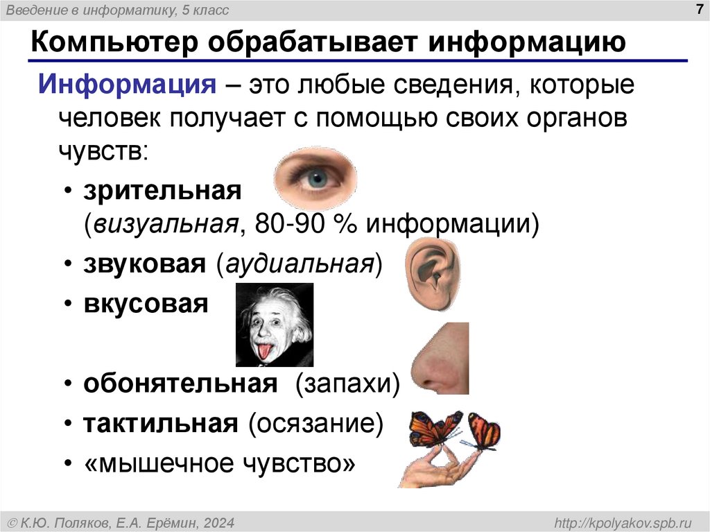 Компьютер обрабатывает информацию