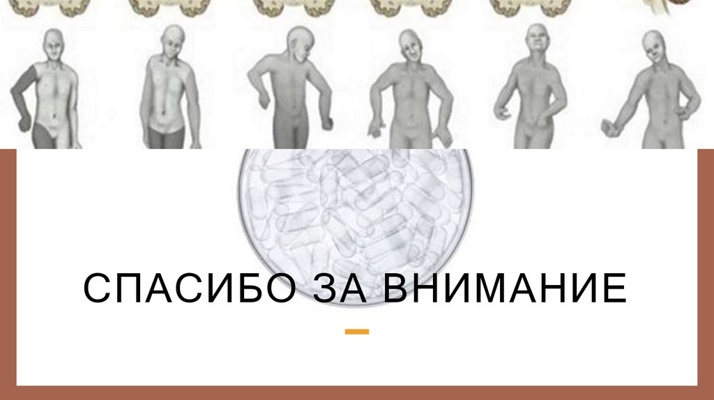 Спасибо за внимание