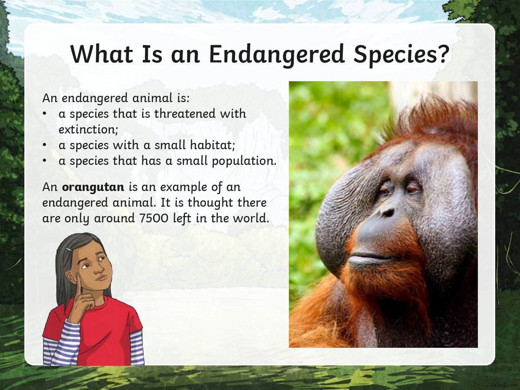 What Is an Endangered Species?