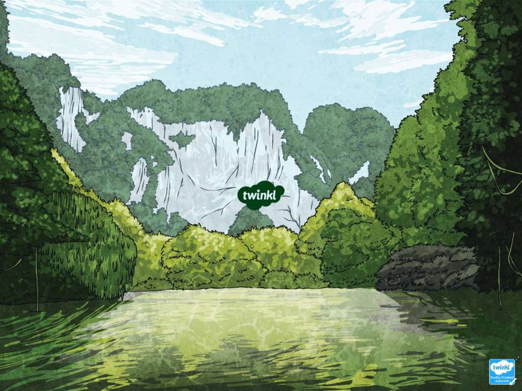 What Is Conservation Status?