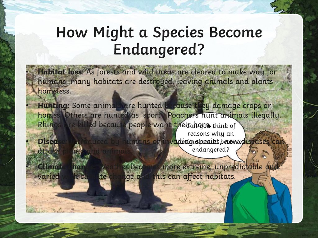 How Might a Species Become Endangered?