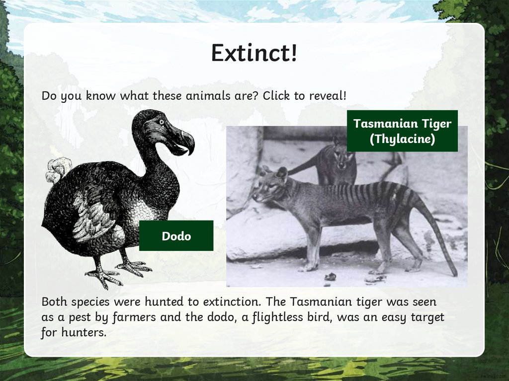 Extinct!