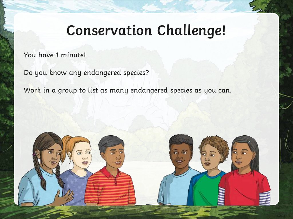 Conservation Challenge!