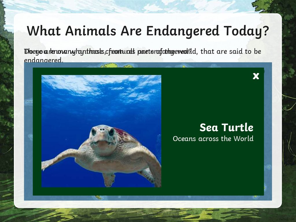What Animals Are Endangered Today?