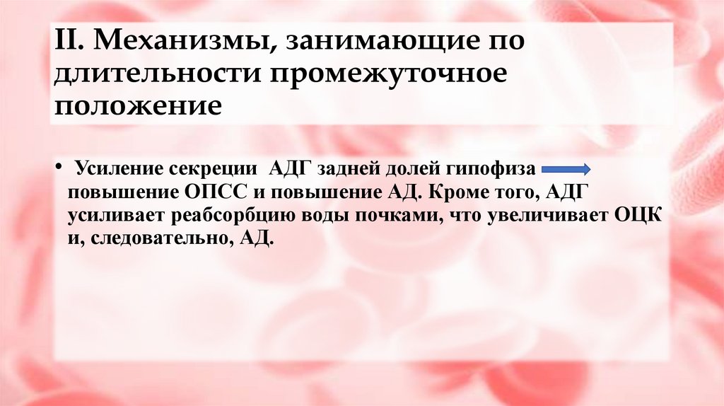 II. Механизмы, занимающие по длительности промежуточное положение