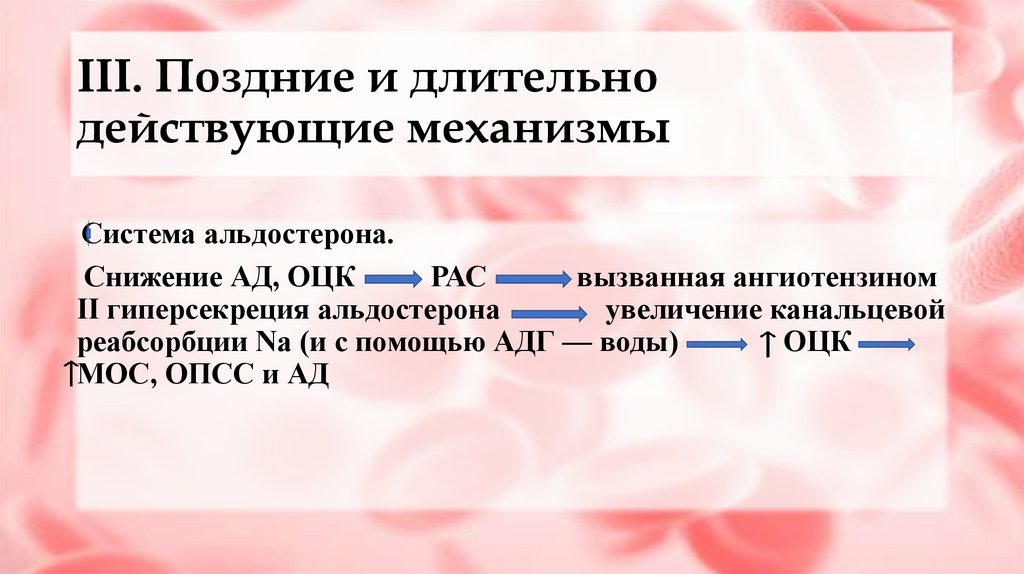 III. Поздние и длительно действующие механизмы