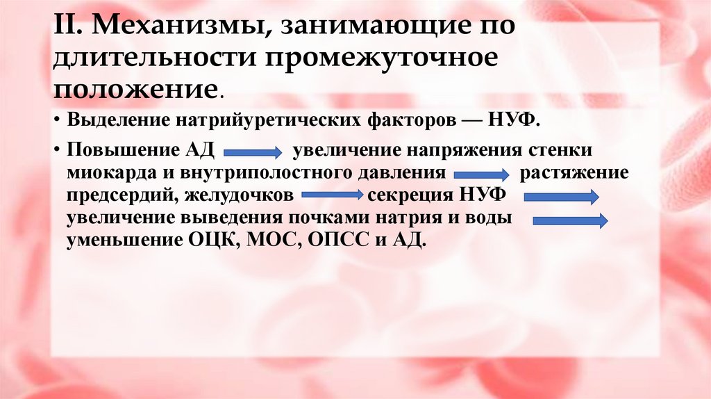 II. Механизмы, занимающие по длительности промежуточное положение.