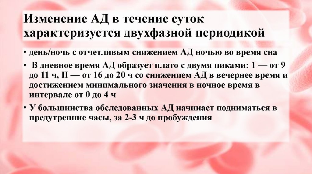 Изменение АД в течение суток характеризуется двухфазной периодикой