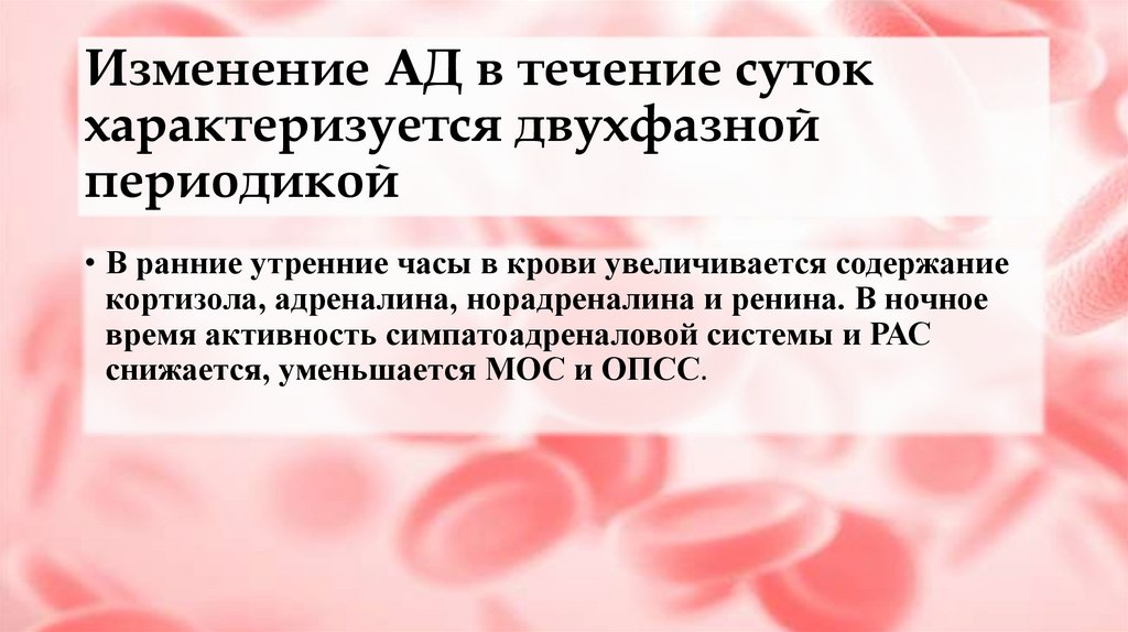 Изменение АД в течение суток характеризуется двухфазной периодикой